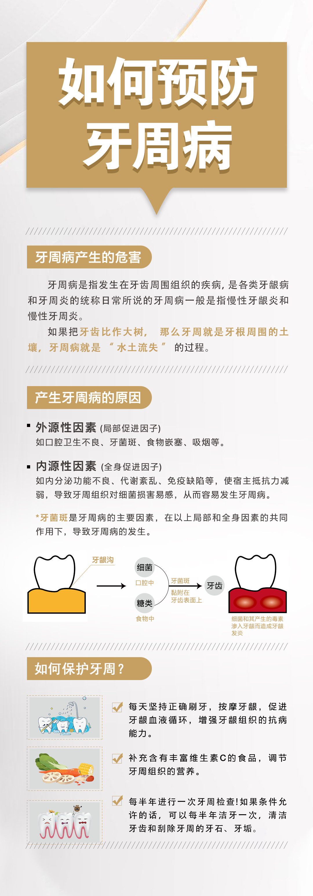 牙周.jpg